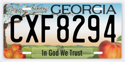 GA license plate CXF8294