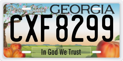 GA license plate CXF8299