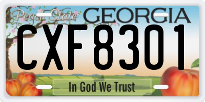 GA license plate CXF8301