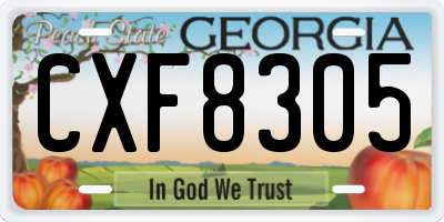 GA license plate CXF8305