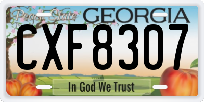 GA license plate CXF8307