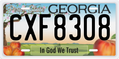 GA license plate CXF8308