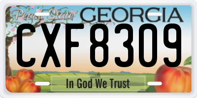 GA license plate CXF8309