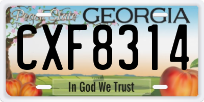 GA license plate CXF8314