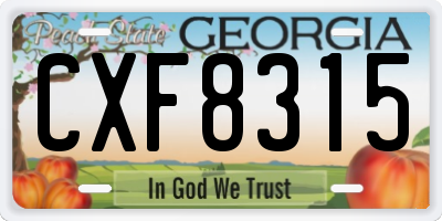 GA license plate CXF8315