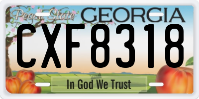GA license plate CXF8318