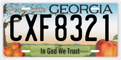 GA license plate CXF8321