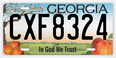 GA license plate CXF8324