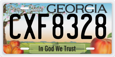 GA license plate CXF8328