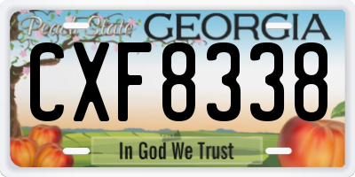 GA license plate CXF8338
