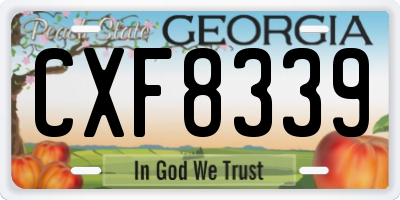 GA license plate CXF8339