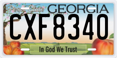 GA license plate CXF8340