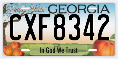 GA license plate CXF8342