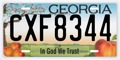 GA license plate CXF8344