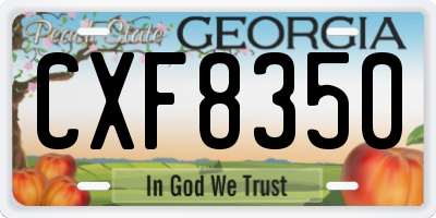 GA license plate CXF8350