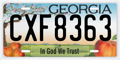 GA license plate CXF8363