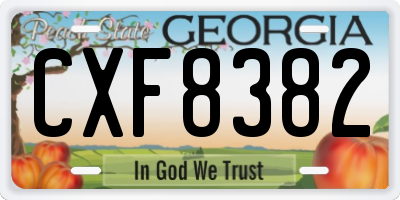 GA license plate CXF8382