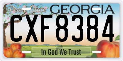 GA license plate CXF8384