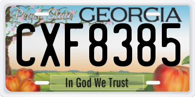 GA license plate CXF8385