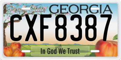 GA license plate CXF8387