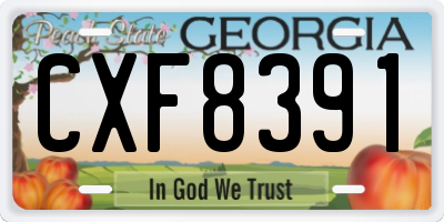 GA license plate CXF8391