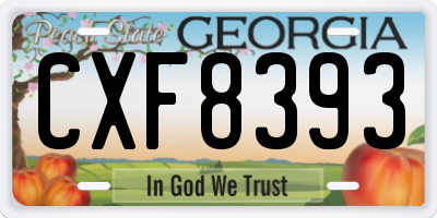 GA license plate CXF8393