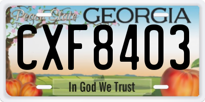 GA license plate CXF8403