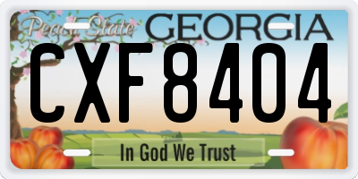 GA license plate CXF8404