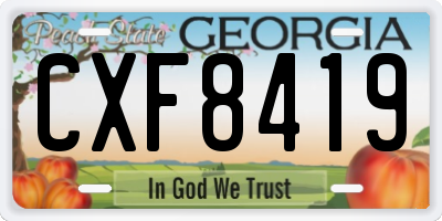 GA license plate CXF8419