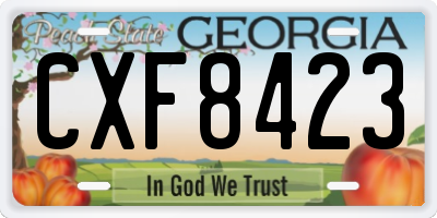 GA license plate CXF8423