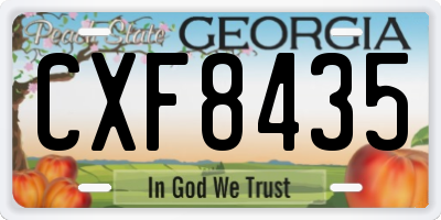 GA license plate CXF8435