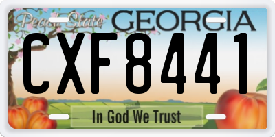 GA license plate CXF8441