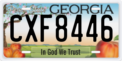 GA license plate CXF8446