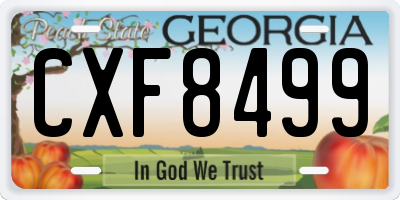 GA license plate CXF8499