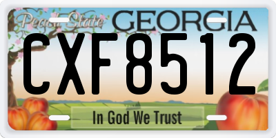 GA license plate CXF8512