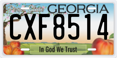 GA license plate CXF8514