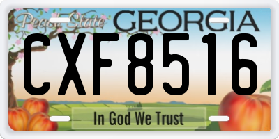GA license plate CXF8516