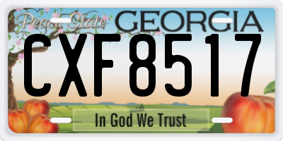 GA license plate CXF8517