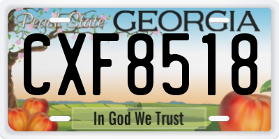 GA license plate CXF8518