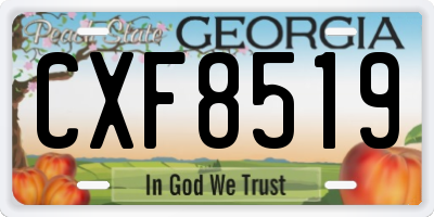 GA license plate CXF8519