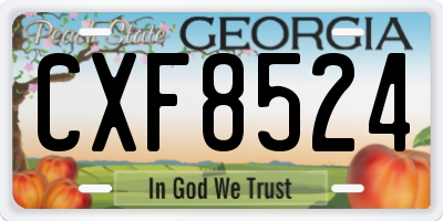 GA license plate CXF8524