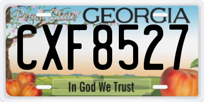 GA license plate CXF8527
