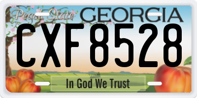 GA license plate CXF8528