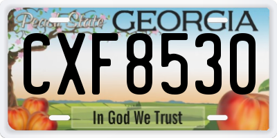GA license plate CXF8530