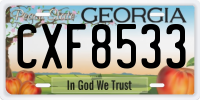 GA license plate CXF8533