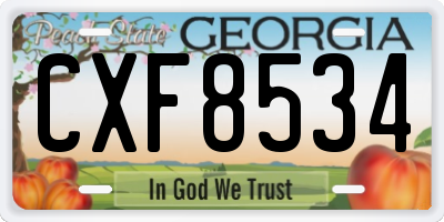 GA license plate CXF8534