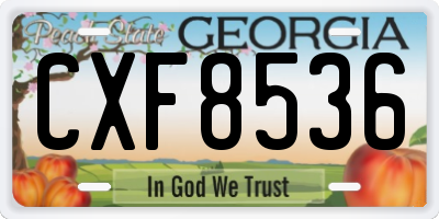 GA license plate CXF8536