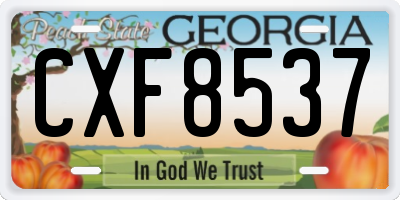 GA license plate CXF8537