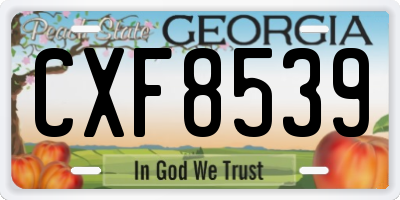GA license plate CXF8539