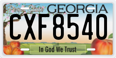 GA license plate CXF8540